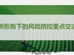新形势下的风险防控重点交流39页.ppt