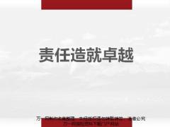责任心是履行职责解决问题防区延伸关注结果目的41页.ppt