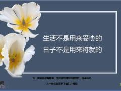 每日鸡汤励志人生生活不是用来妥协的日子不是用来将就的.zip