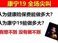 国寿康宁19为什么如何做康宁顶额保30页.pptx