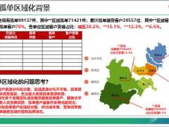 收展孤单区域化背景思路总结不足和需求23页.pptx