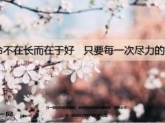 每日鸡汤励志人生生命不在长而在于好只要每一次尽力的演示.zip