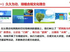 建合规文化助跨越发展公司分享风险管控工作汇报24页.ppt