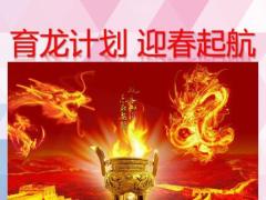 组织发展行动方案快速晋升机遇宣导33页.pptx