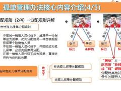 个险渠道孤儿单管理办法及区域化管理推广宣导孤单管理工作要点介绍44页.pptx