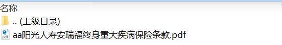 阳光人寿安瑞福终身重大疾病保险条款.rar