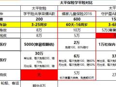 太平保险学平险对比1页.xlsx