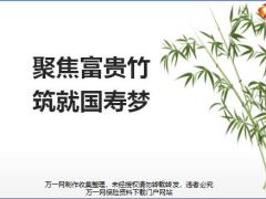 国寿如何达标基本法富贵竹工程好处23页.pptx