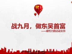 全民30访活动营销MM推动高举绩面29页.pptx