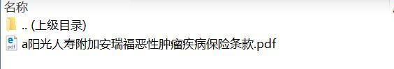 阳光人寿附加安瑞福恶性肿瘤疾病保险条款.rar