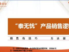 华泰保险泰无忧产品销售逻辑29页.pptx