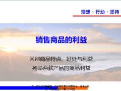 陆家嘴国泰恒泰一生特点好处销售商品的利益21页.pptx