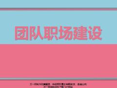 销售团队职场建设定义主要做法现场演练23页.pptx
