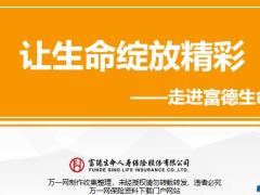 富德生命公司概况辉煌足迹优势爱心47页.pptx