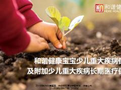 和谐健康宝宝少儿重大疾病保险产品形态产品案例解析34页.pptx