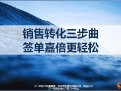 太平药安心转化流程冲刺规划销售转化三步曲32页.pptx