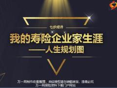 寿险企业家人生规划图14页.pptx