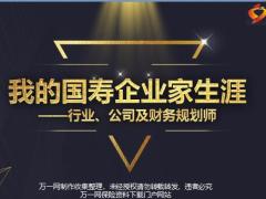 国寿企业家生涯行业公司及财务规划师48页.pptx