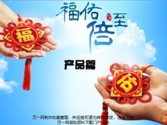 华泰福佑倍至产品篇25页.pptx