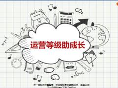 运营等级定义分类差异化政策提升等级含备注21页.pptx