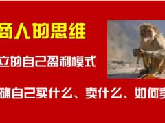 太平2019年新基本法介绍优势解读运用46页.pptx