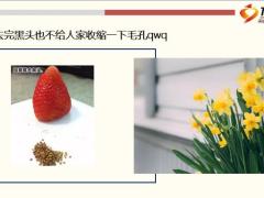 每日快乐早会19年8月6日使用12页.ppt