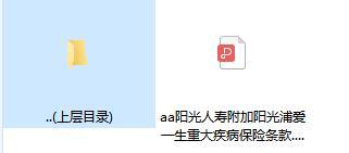 阳光人寿附加阳光浦爱一生重大疾病保险条款.rar