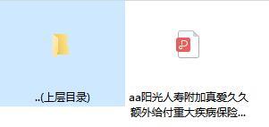 阳光人寿附加真爱久久额外给付重大疾病保险条款.rar