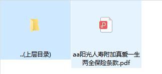 阳光人寿附加真爱一生两全保险条款.rar