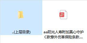 阳光人寿附加真心守护C款意外伤害保险条款.rar
