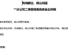 分公司精英高峰会主持稿17页.docx