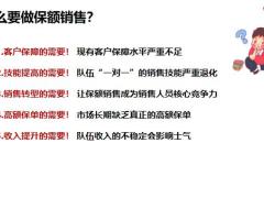初识保额销售流程电话约访及转介绍含备注32页.pptx