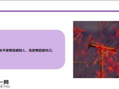 每日鸡汤打盹会做梦学习会圆梦.zip