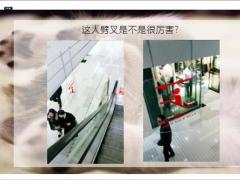 每日快乐早会19年8月7日使用12页.ppt