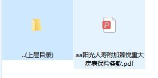 阳光人寿附加臻悦重大疾病保险条款.zip
