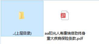 阳光人寿康瑞倍致终身重大疾病保险条款.rar
