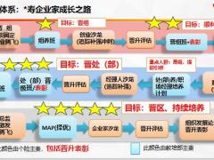 高阶主管培育关键要点32页.pptx