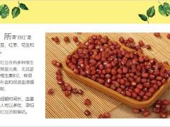 每日健康为什么女性要多吃四红8页.ppt