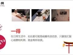 每日保险故事大雁来报信7页.ppt