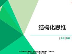 为什么要有什么是怎么用结构化思维哪些工具含备注65页.pptx