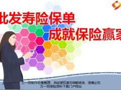 分享批发寿险保单成就保险赢家17页.pptx