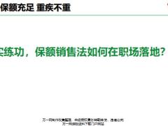 保额销售概念基本内容核心要点夯实训练16页.pptx