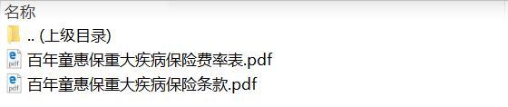 百年童惠保重大疾病保险条款费率.zip