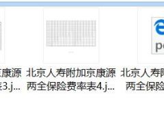北京人寿附加京康源两全保险条款费率.zip