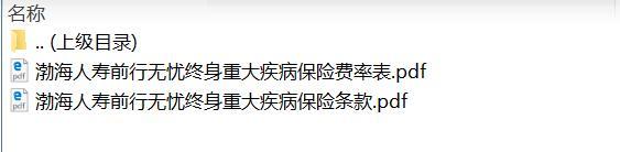 渤海人寿前行无忧终身重大疾病保险条款费率.zip