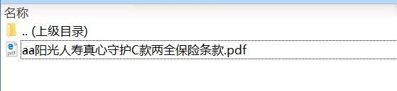 阳光人寿真心守护C款两全保险条款.rar