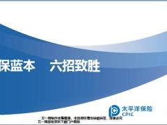 太保蓝本六招致胜42页.pptx