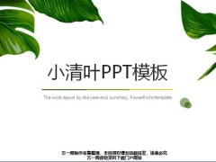 小清叶PPT模板25页.ppt