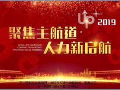 个险概况背项目景介绍建设规划52页.pptx