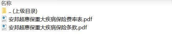 安邦超惠保重大疾病保险条款费率.zip